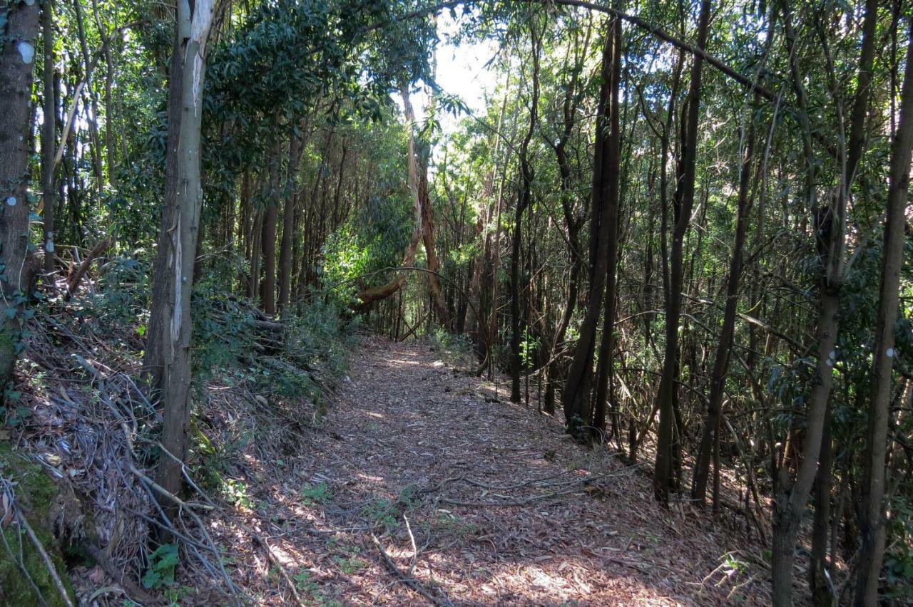 Quinta Sao Jose - Museu Do Triciclo Mesao Frio